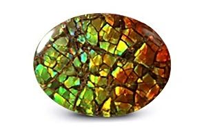 Ammolite