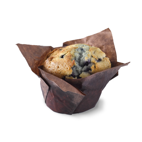 Blueberry Muffin
